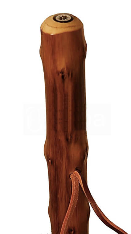 Bastón madera de castaño congo con brújula. Puntera metálica con pincho. Longitud: 1,20 m.