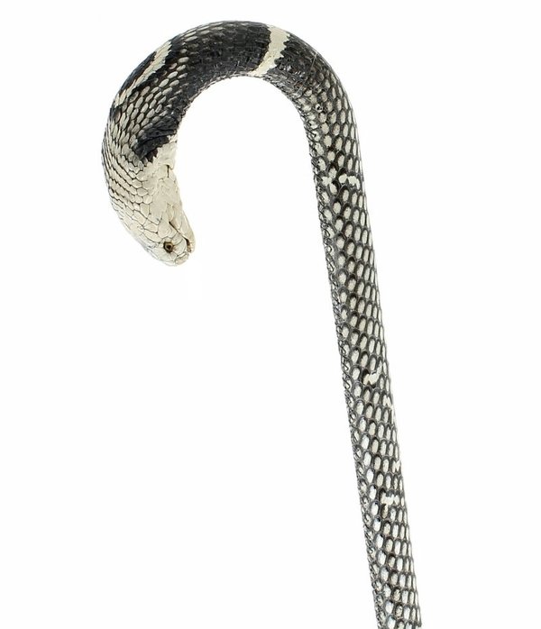 Bastón completamente cubierto con piel de una serpiente Cobra