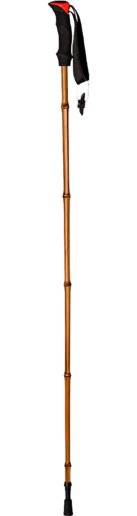 Bastón de trekking caña de bambú. Muy ligero solo 180 gr. Longitud 110 cm. Contera goma.